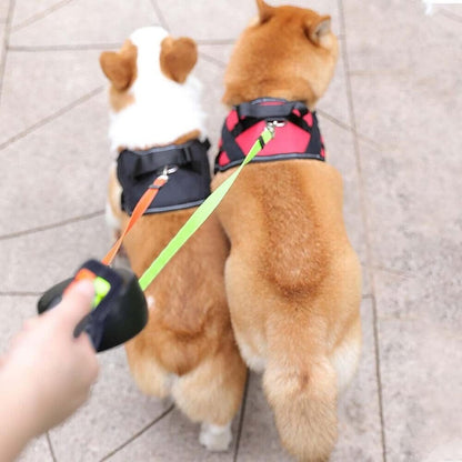 Trintion 3M Double Retractable Dog Lead,with Non-Slip Handle Dog Lead with LED Light 360° Tangle-Free Strong Nylon Band Heavy Duty Reflective Walking Pet Leades for Small Dogs or Cats